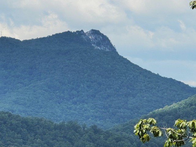 Picture 5
