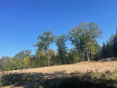 Land, LAKEWOOD, WI