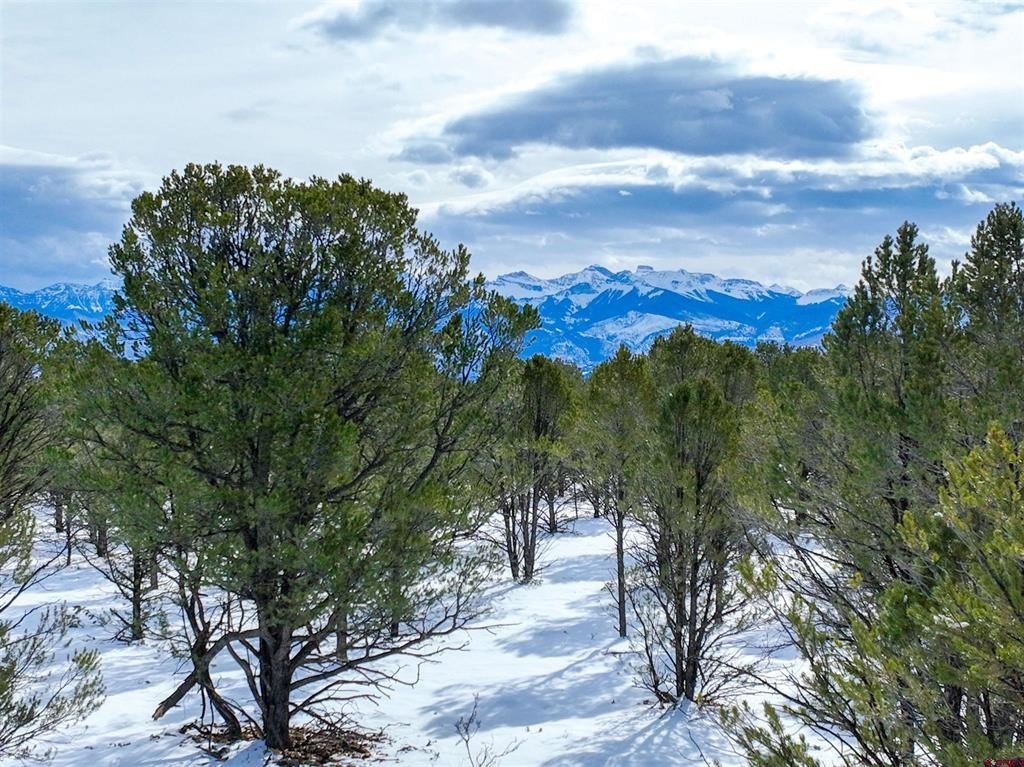 Picture 27