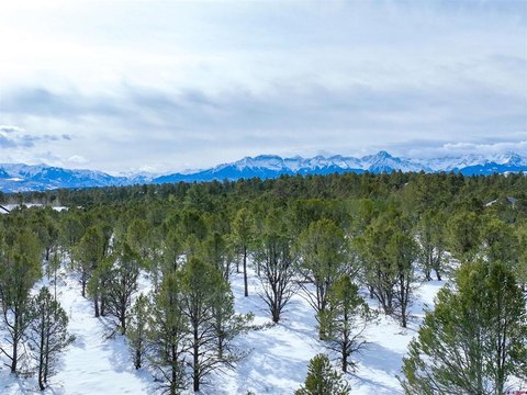 Ridgway, CO Land For Sale