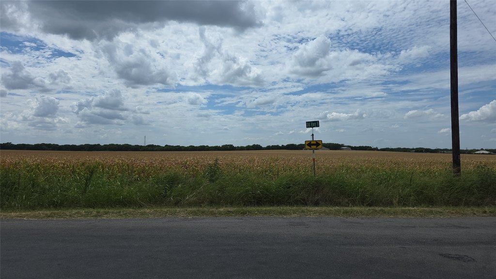 Picture 7