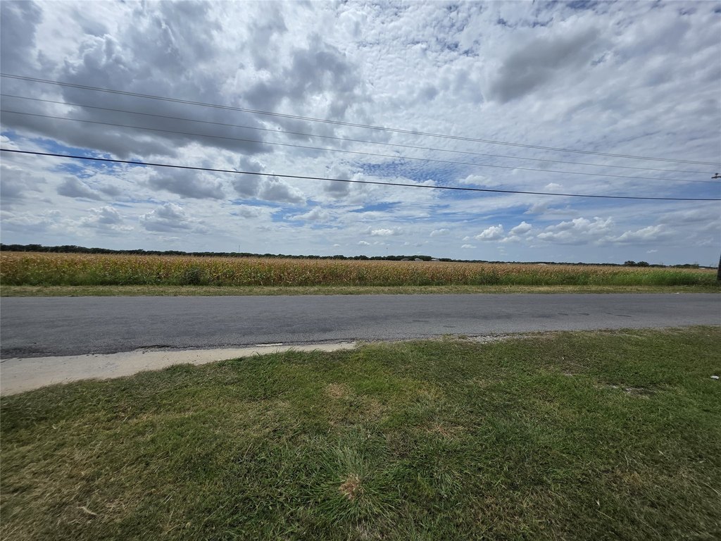 Picture 5