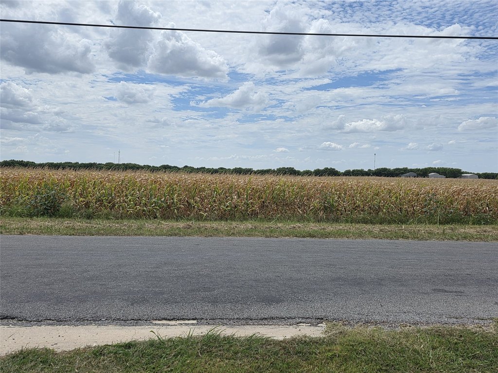 Picture 10