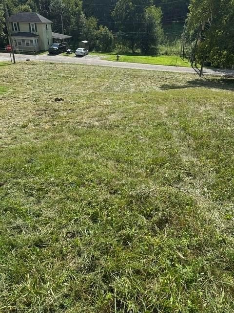 Picture 6