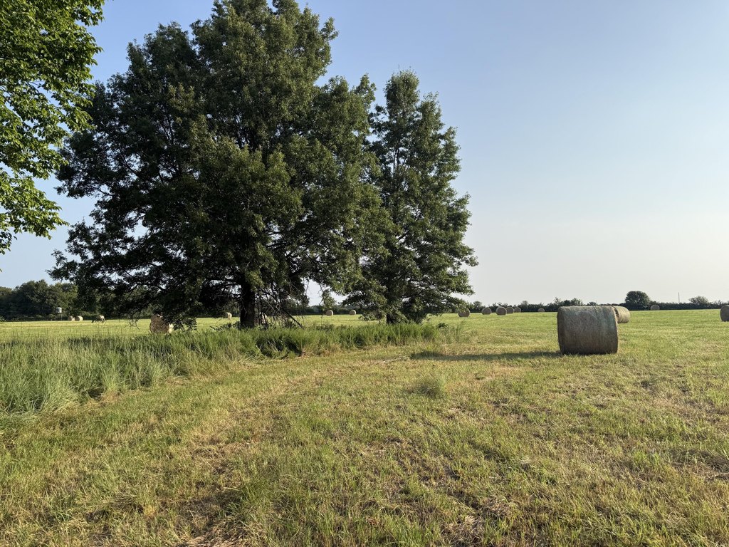 Picture 69