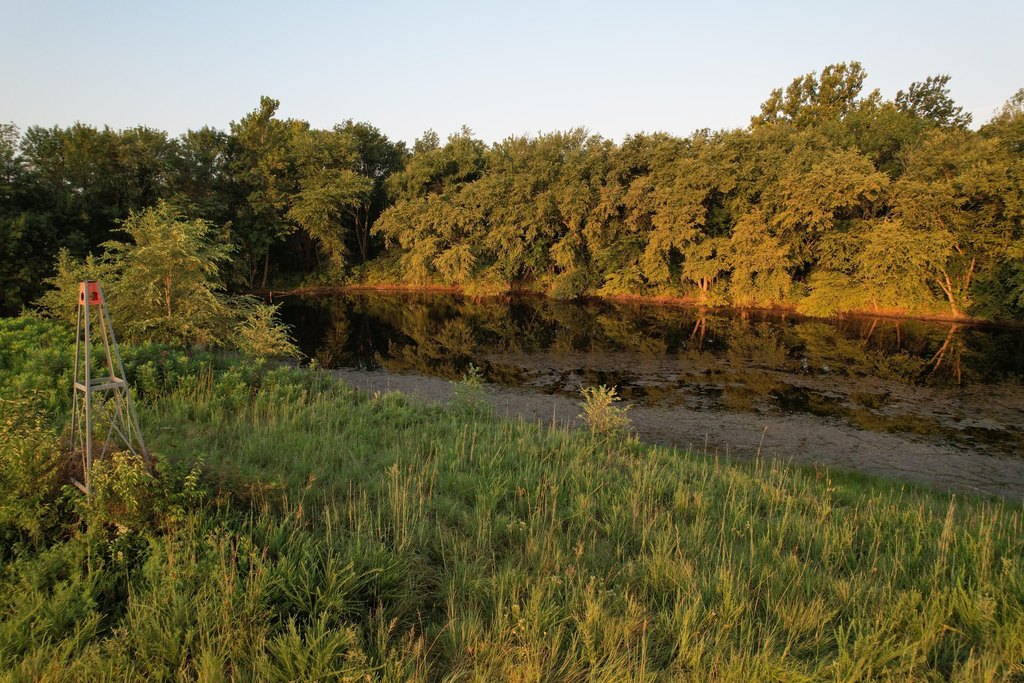 Picture 37