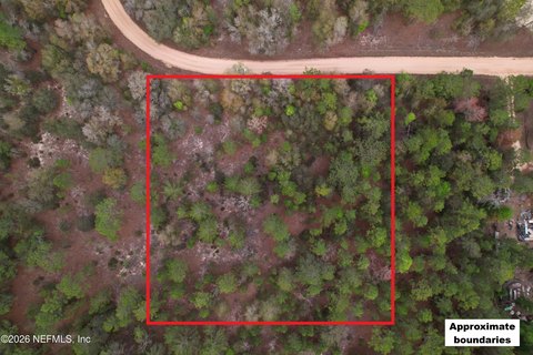 Land in Hawthorne, Florida