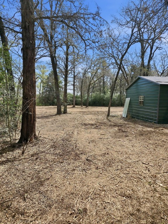 Picture 13