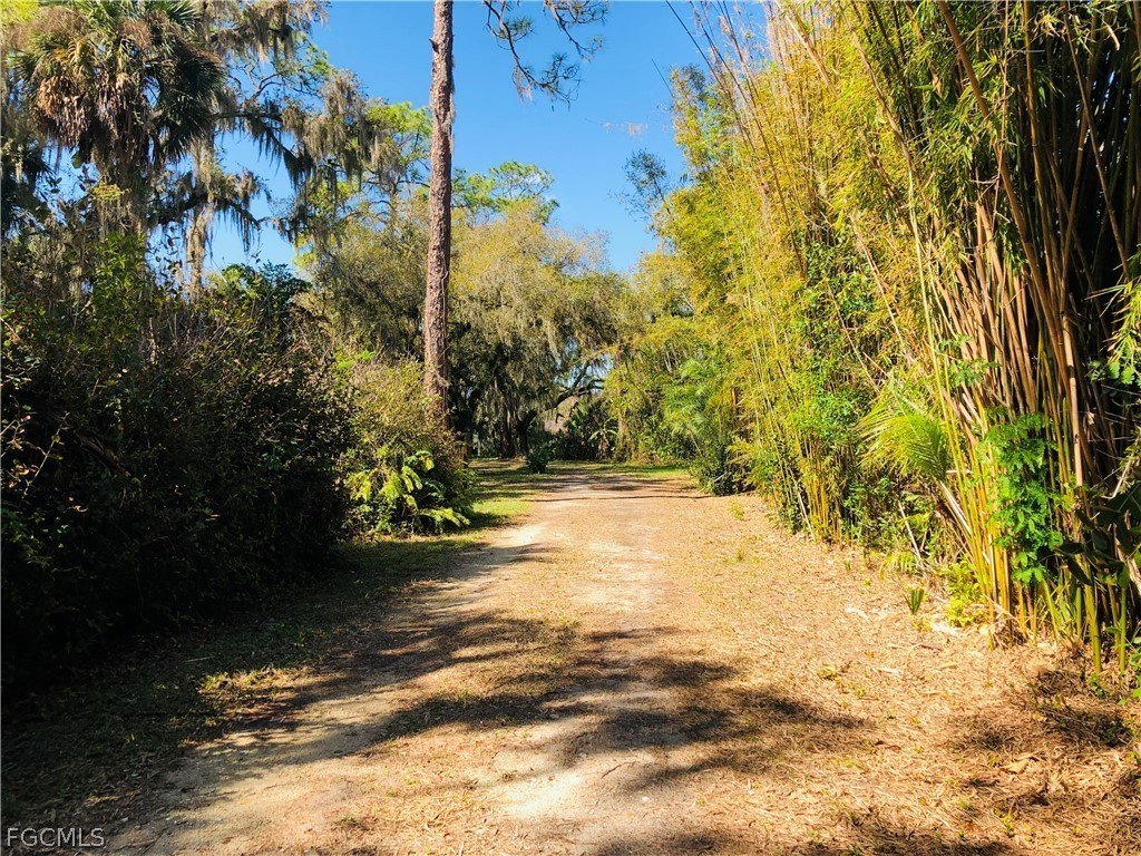 Picture 10