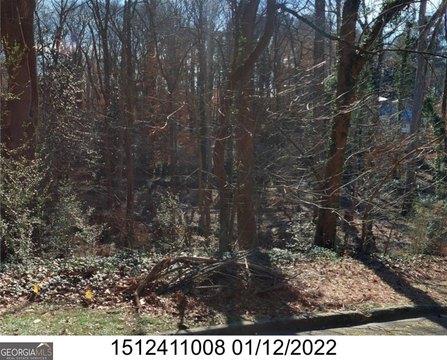 LAND - Decatur, GA