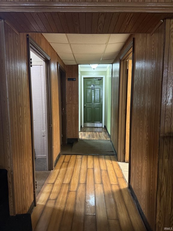 Picture 15