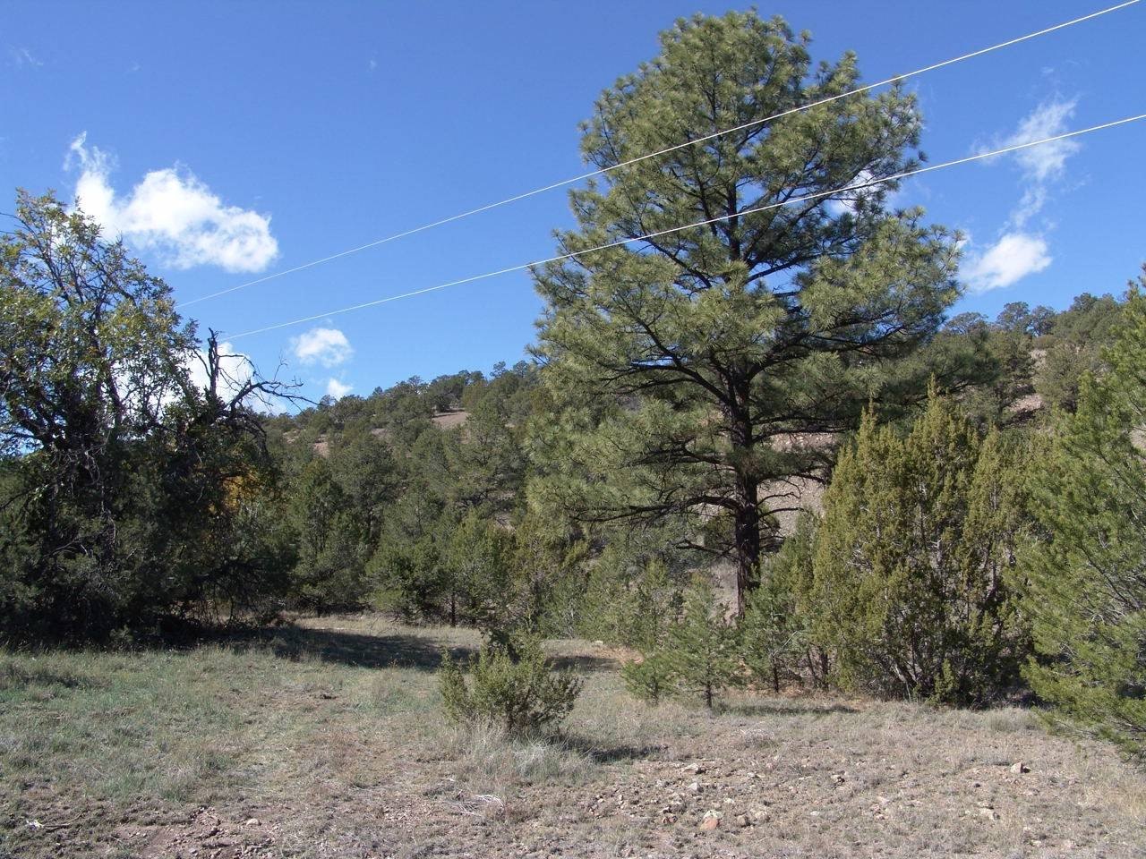 Scenic Land in Tee Pee Ranch