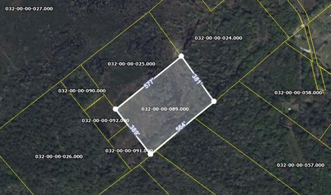 Wooded Land in Walterboro, SC