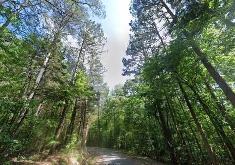 Bolivar, TN Wooded Land