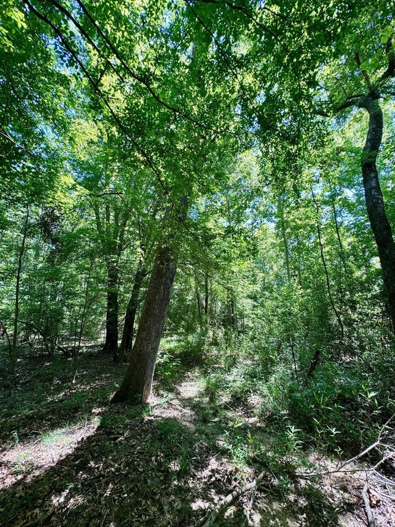 Picture 7