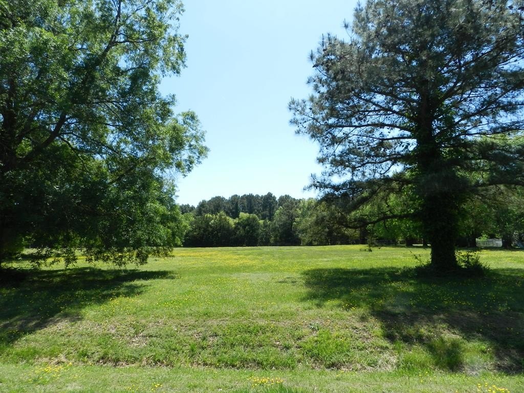 Picture 17