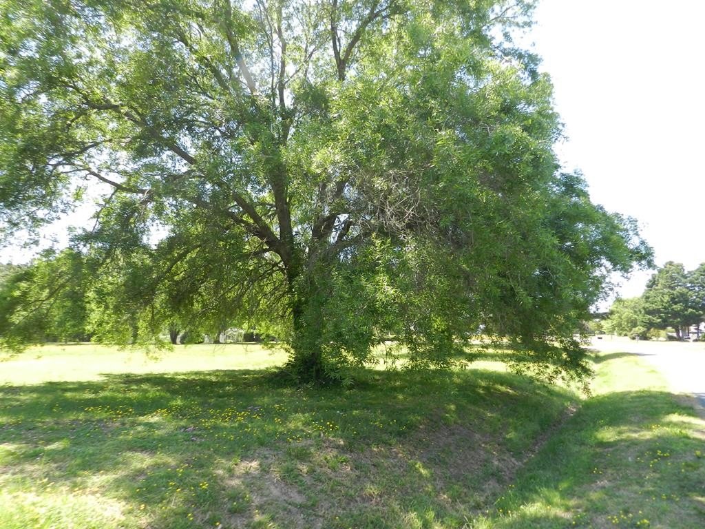 Picture 25