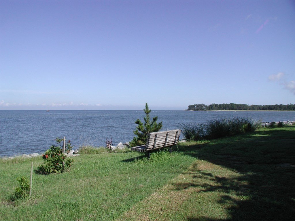 Picture 7
