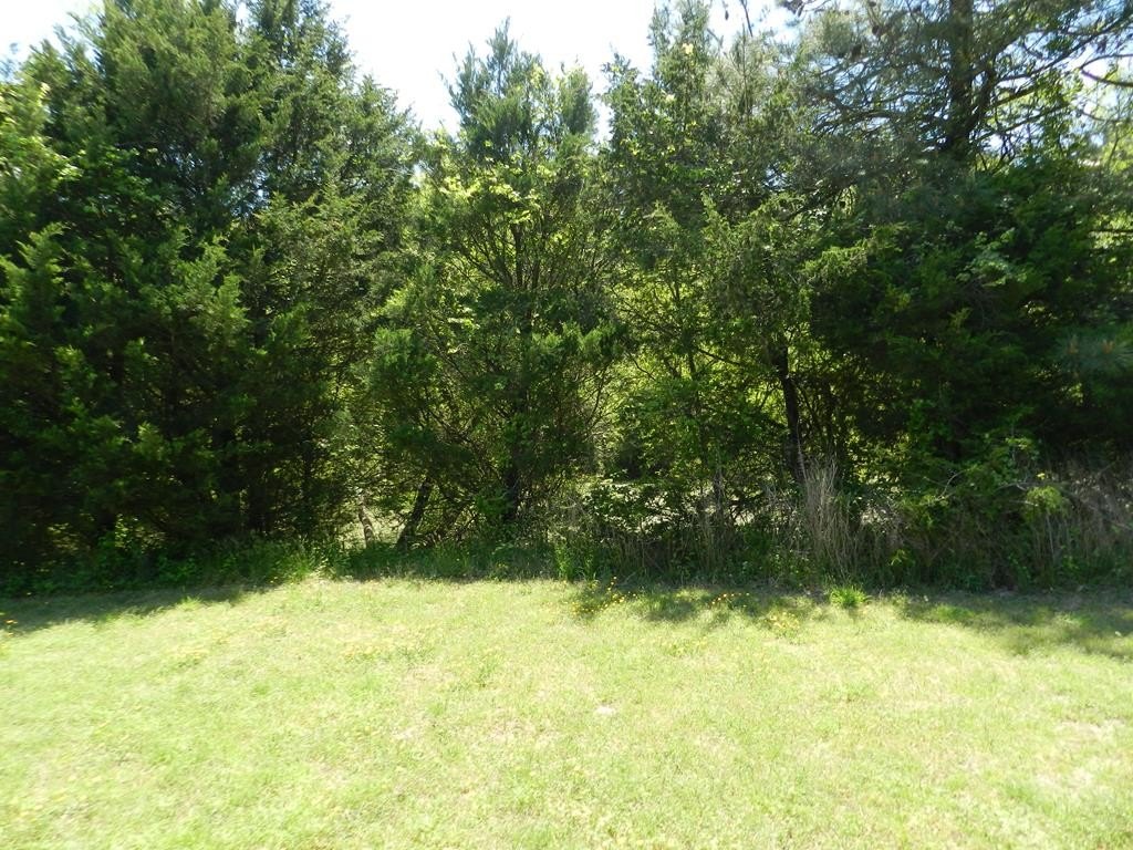 Picture 21