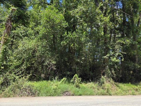 Dorchester County Land For Sale