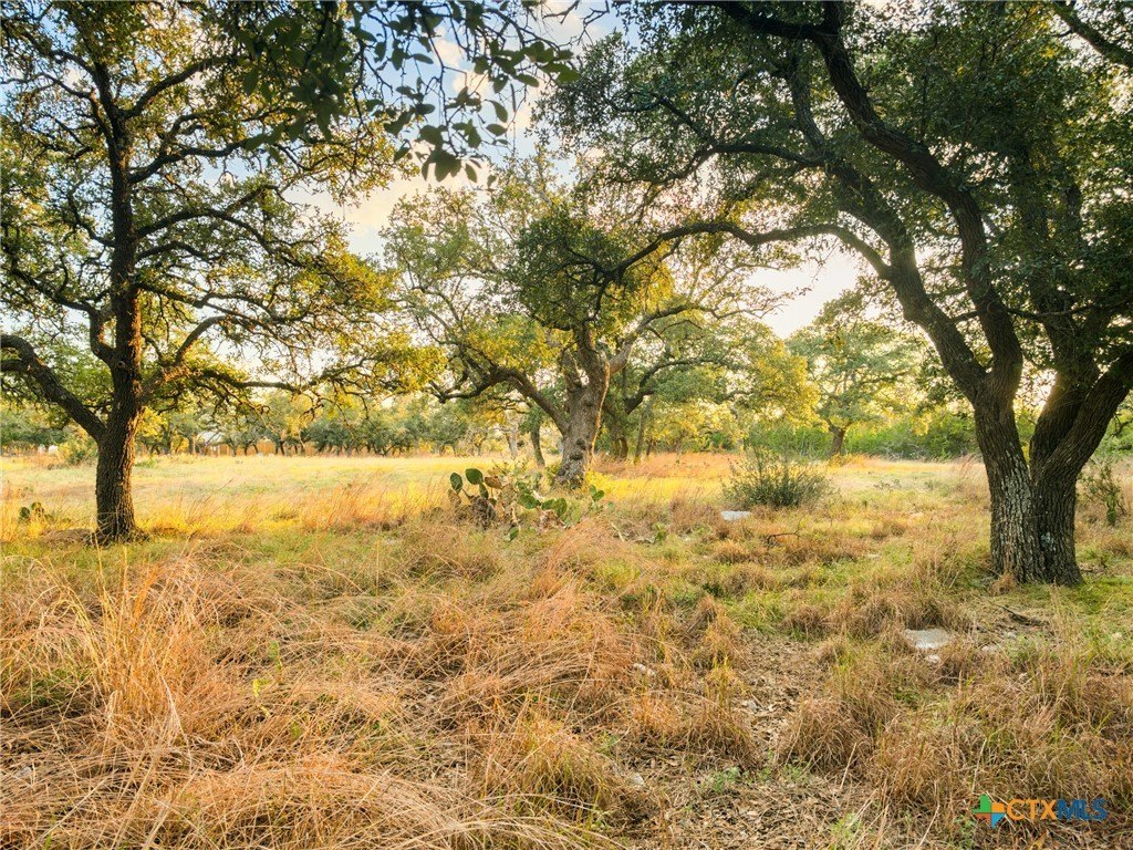 Picture 19