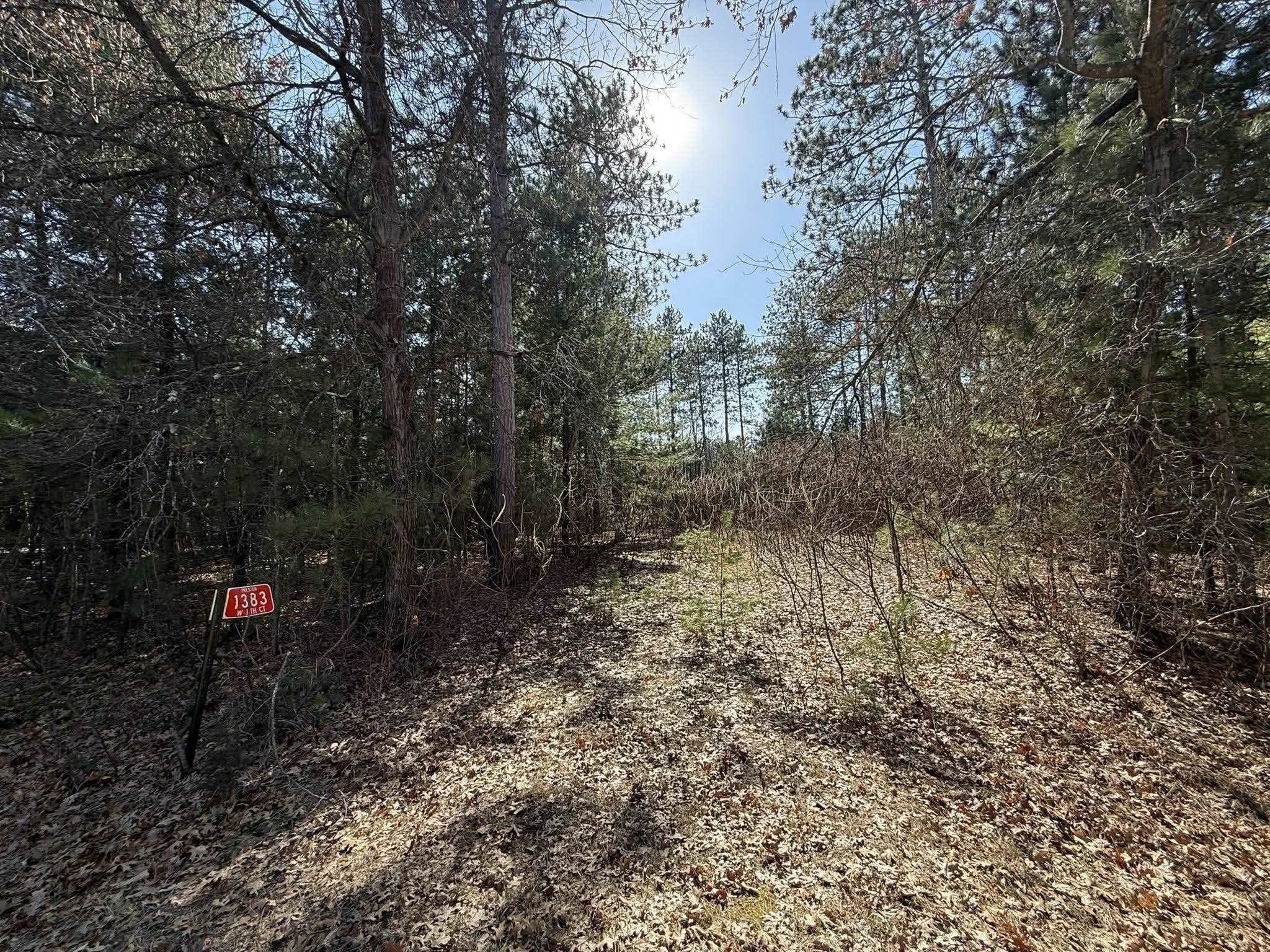 Wooded Parcel in Friendship, WI