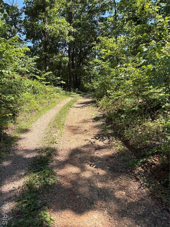 Heavily Wooded 10-Acre Property