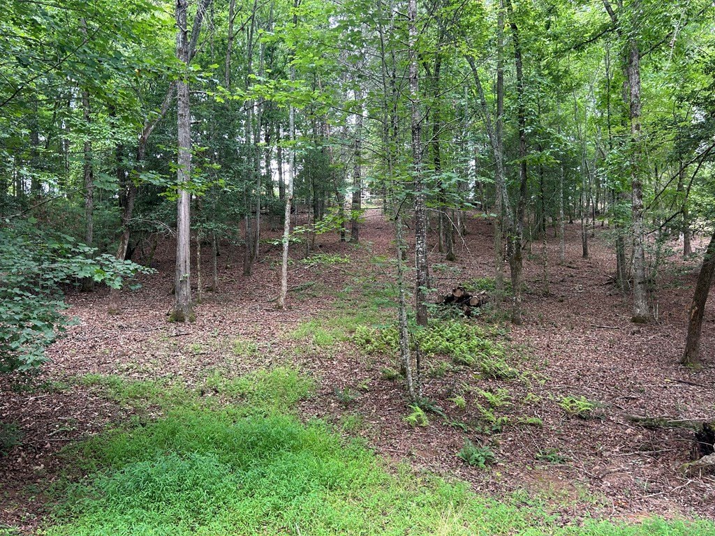 Picture 4