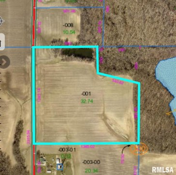 Taylorville Agricultural Land For Sale