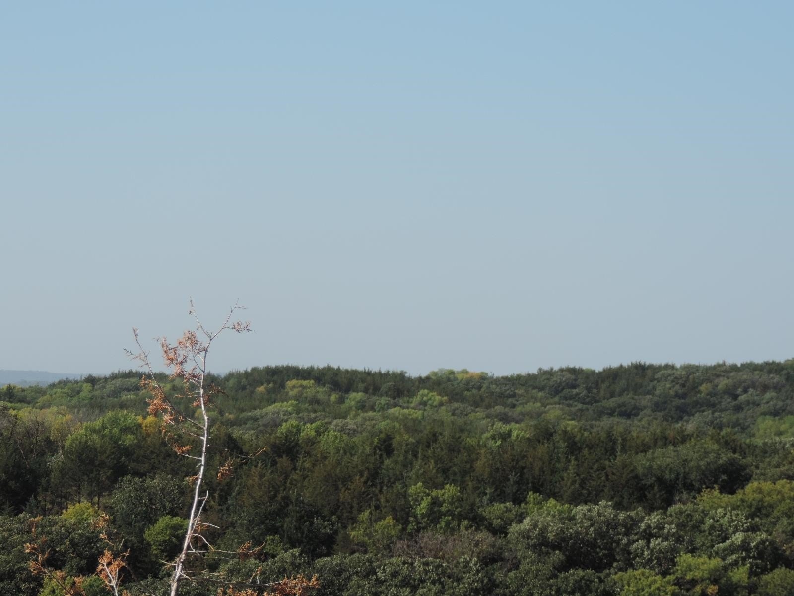 Land Near Lewis and Clark Lake