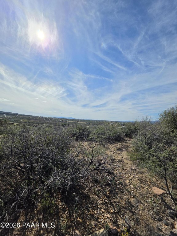 Picture 19