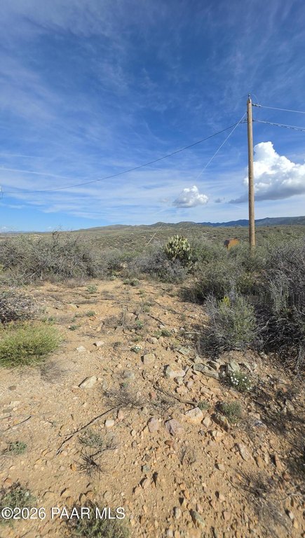 Picture 39