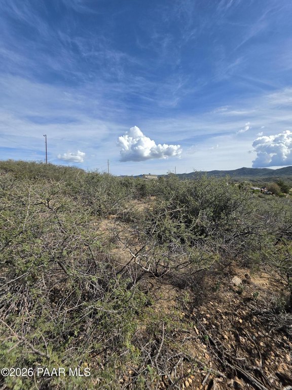 Picture 25