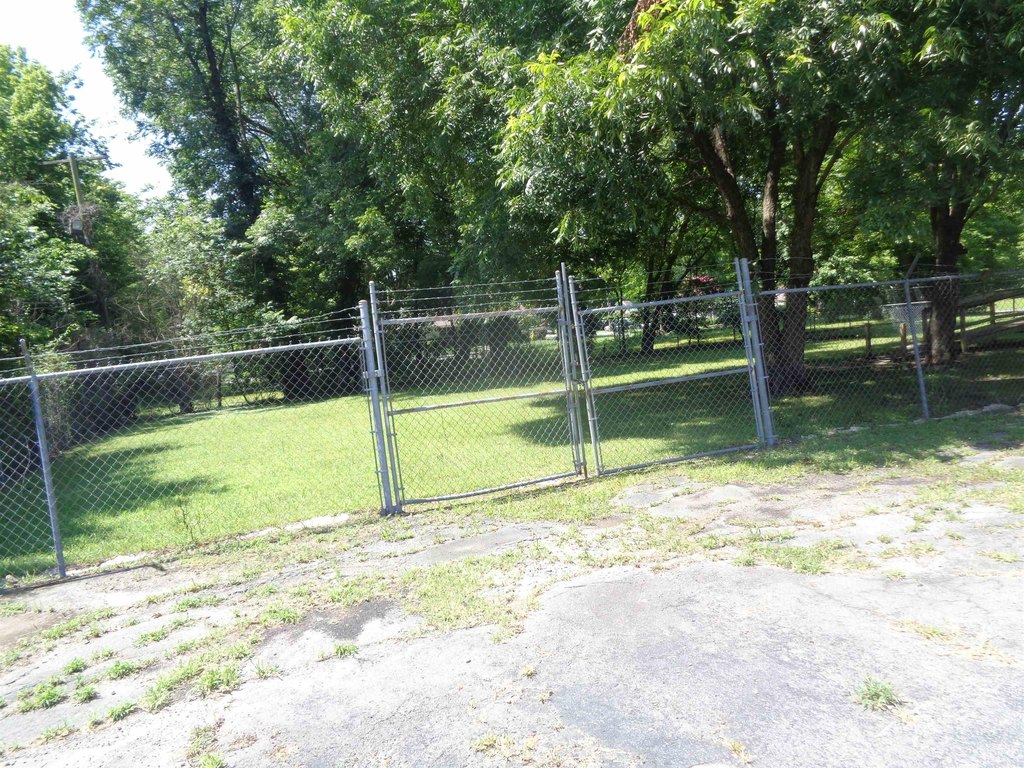 Picture 16