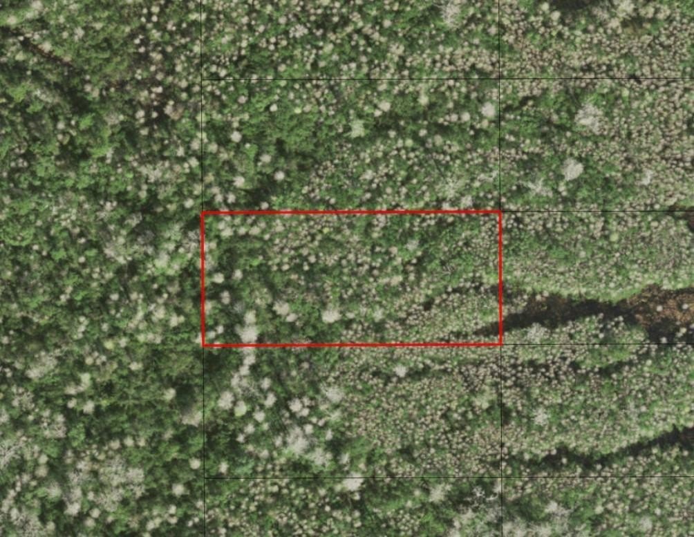 Hunting Land in St. Cloud