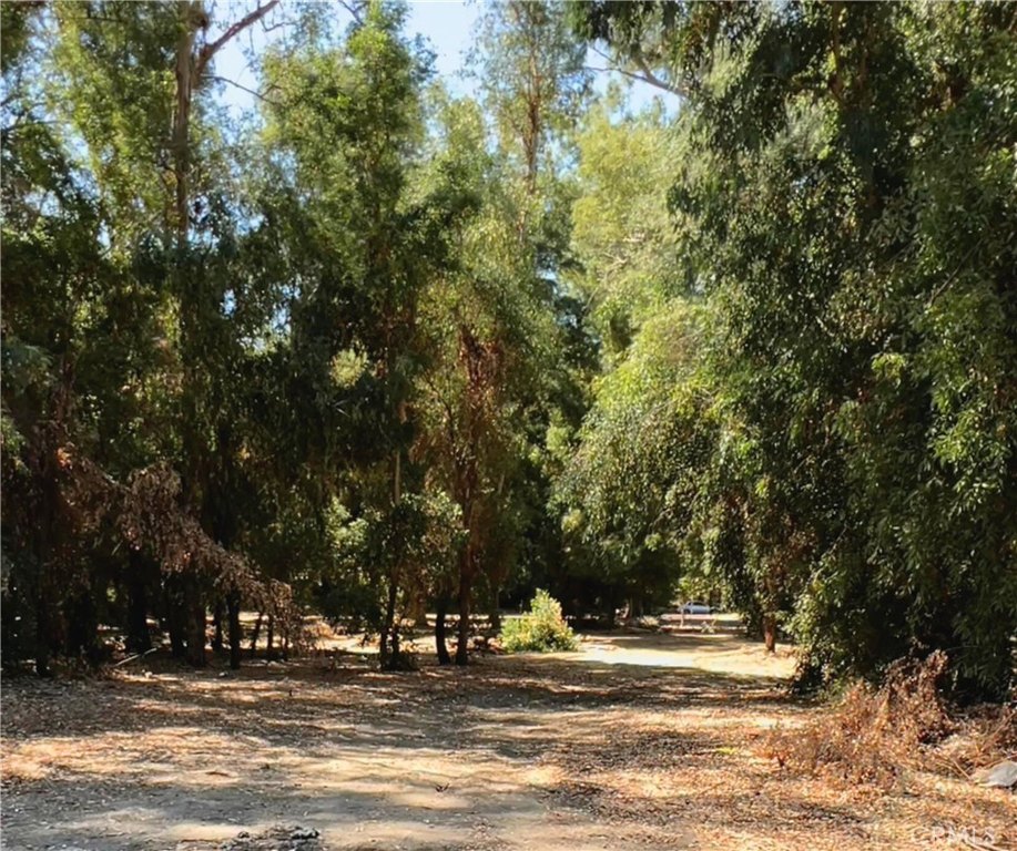 Picture 14