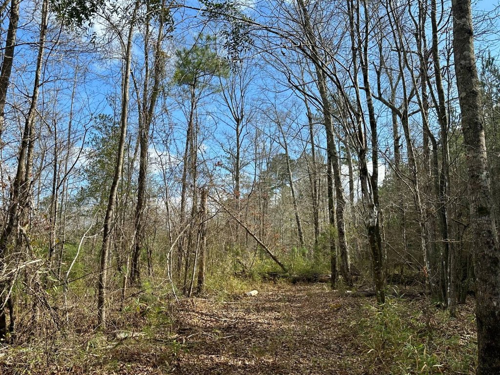 Picture 19