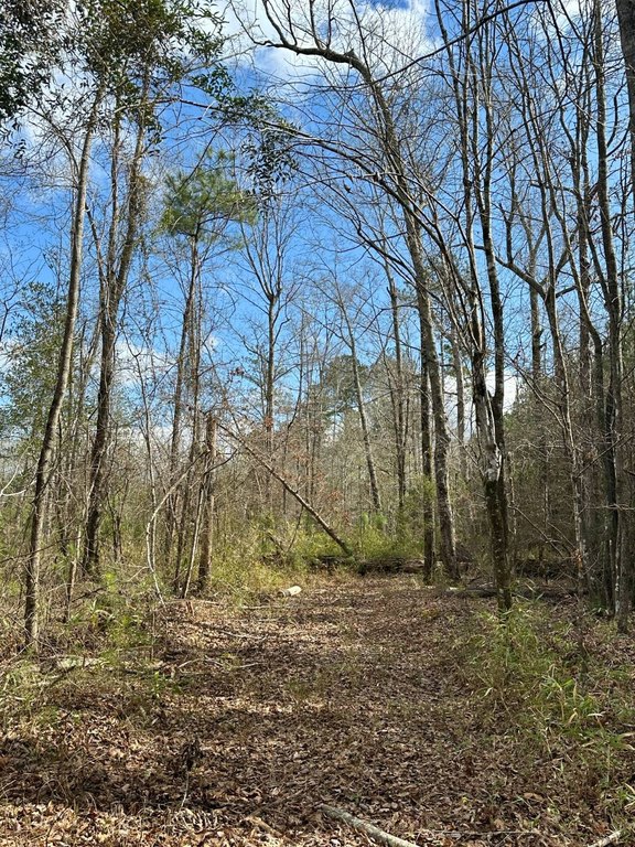 Picture 16