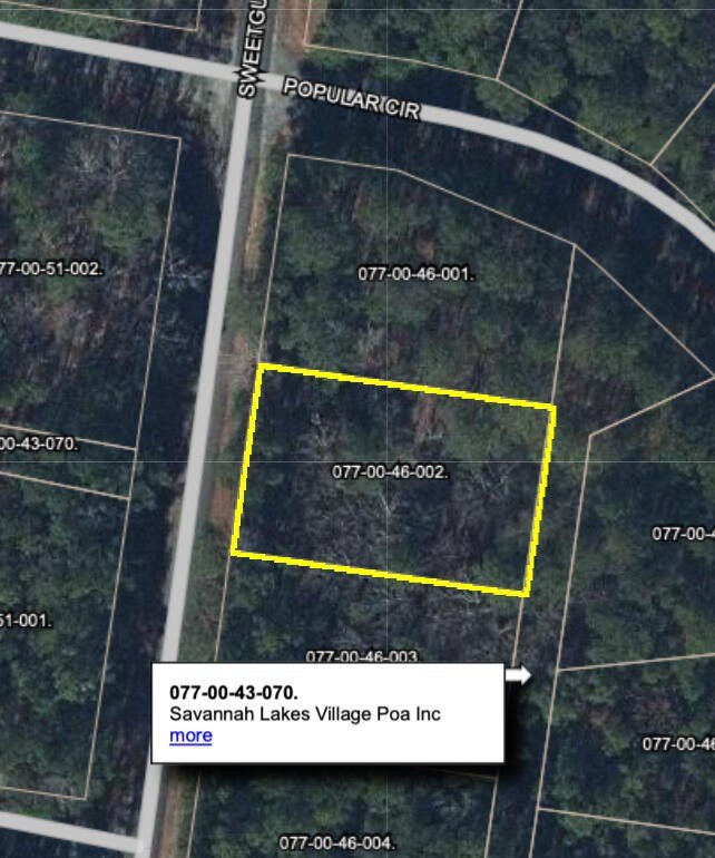Flat Lot in Savannah Lakes