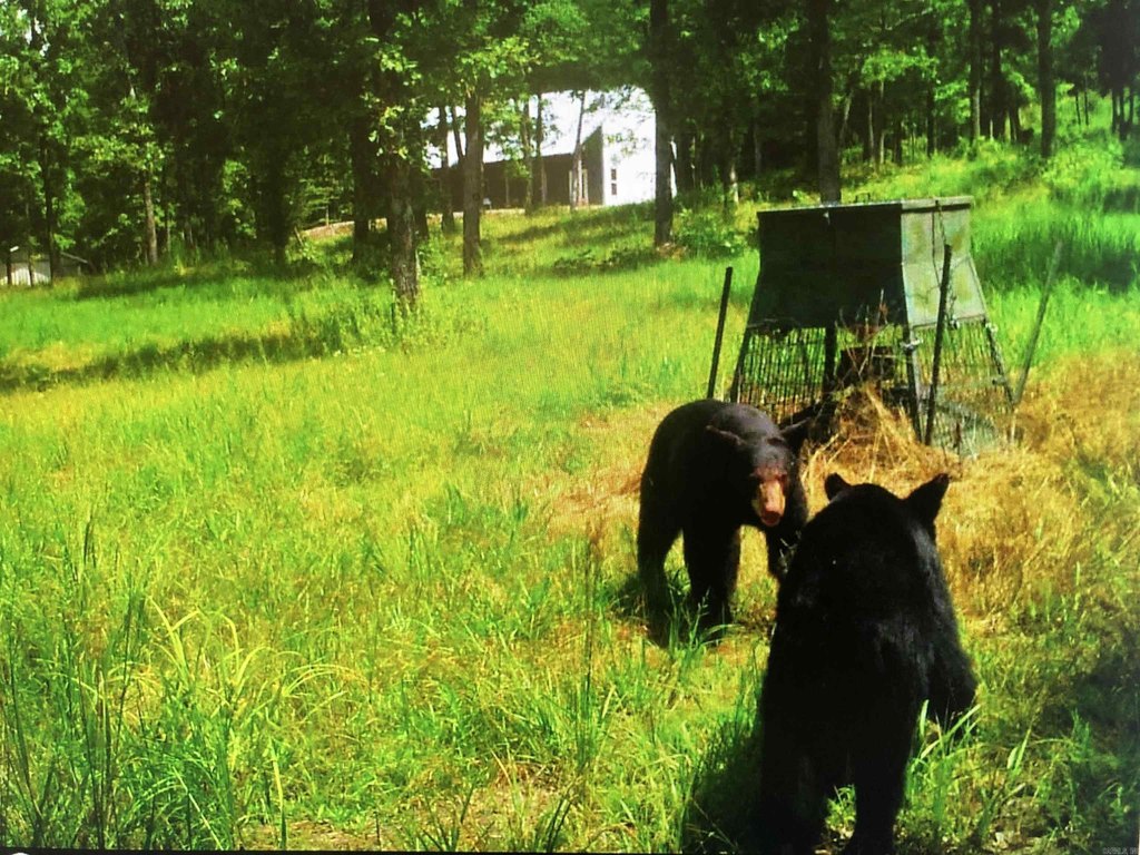 Picture 33