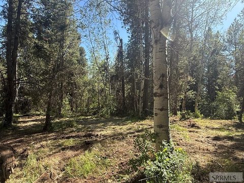 Recreation Land with Creek