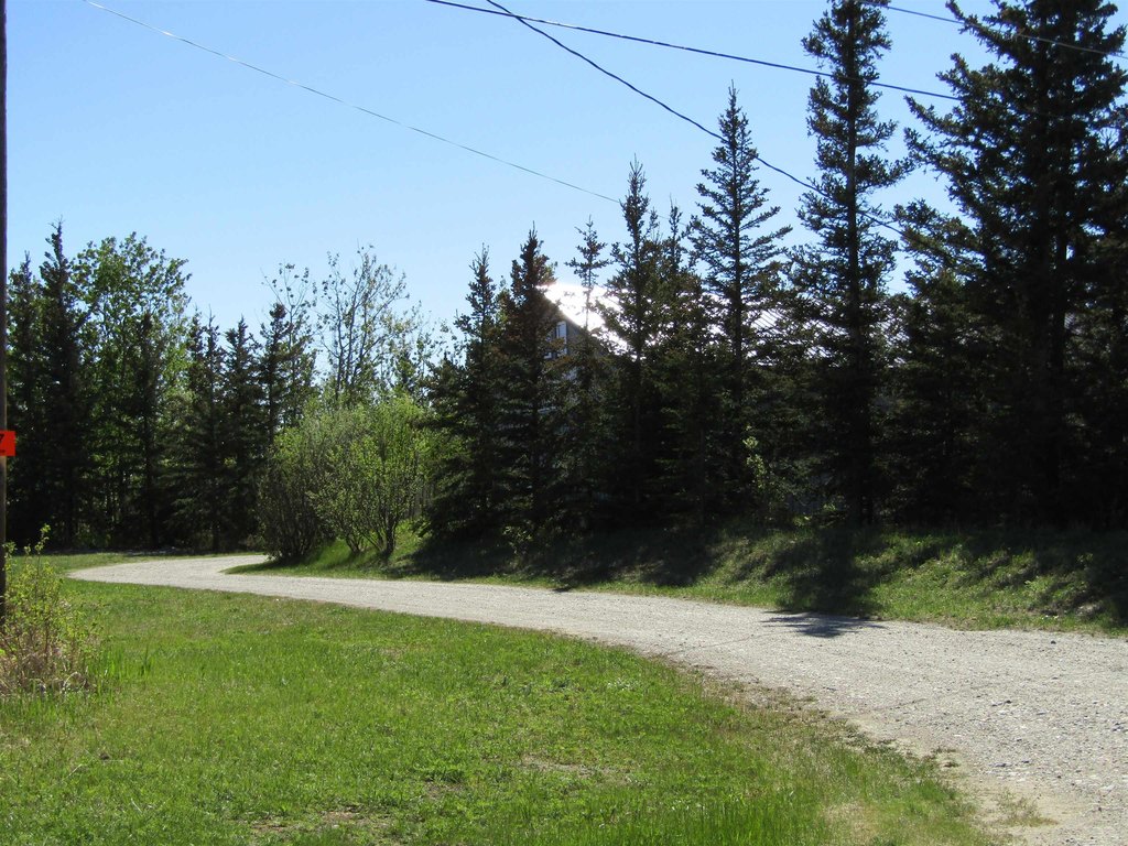Picture 5