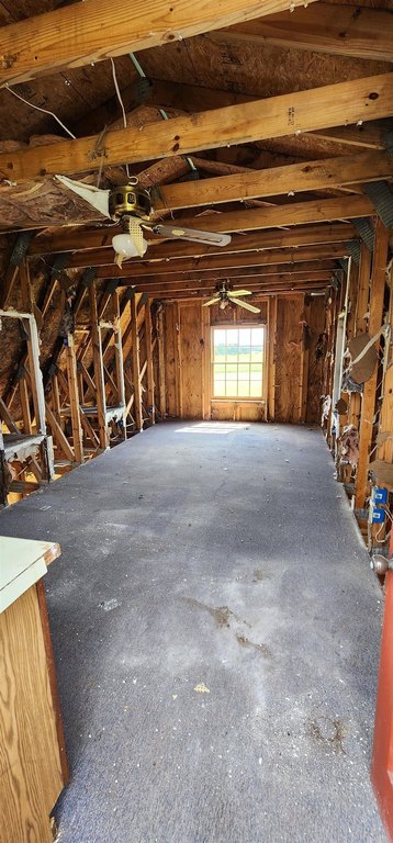 Picture 34