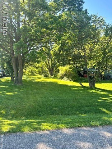Picture 3
