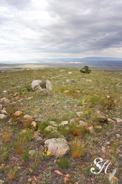 Picture 21