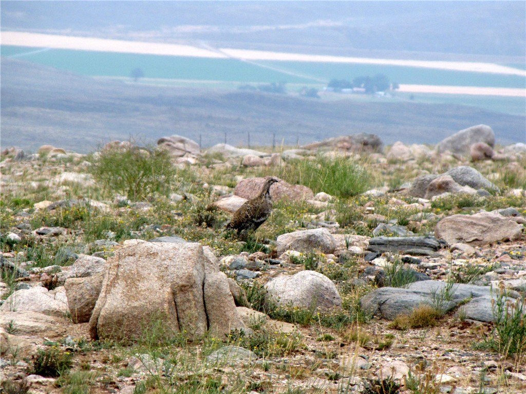 Picture 29