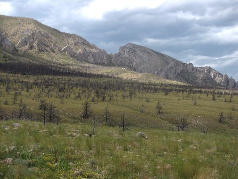 LAND - Belfry, MT