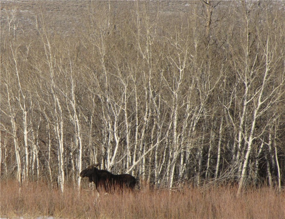 Picture 32
