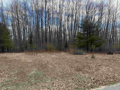 Vacant Land in Gladwin, Michigan