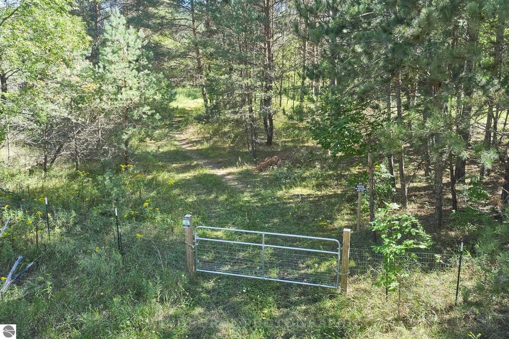 Picture 17